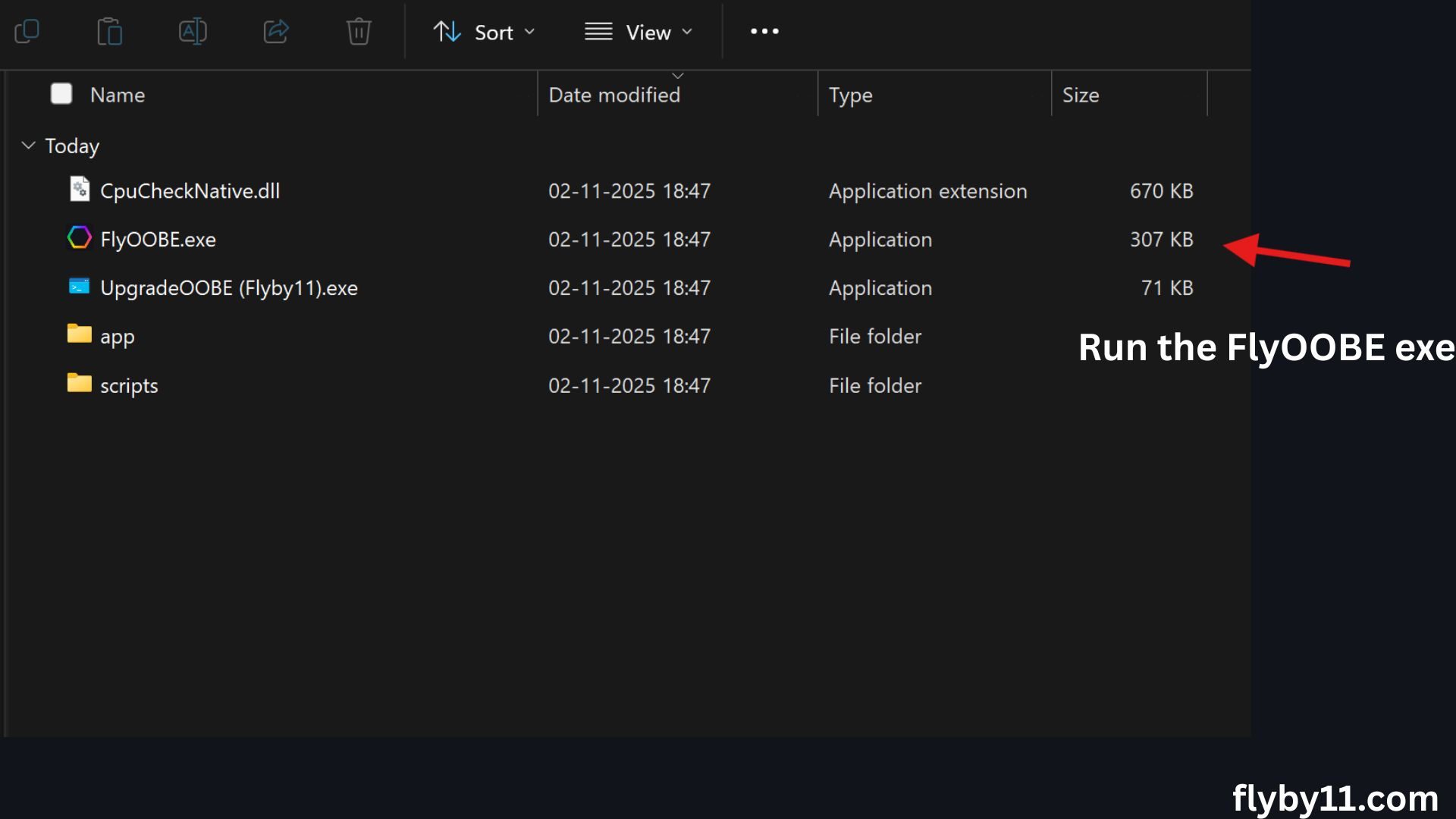 Run FlyOOBE Executable File