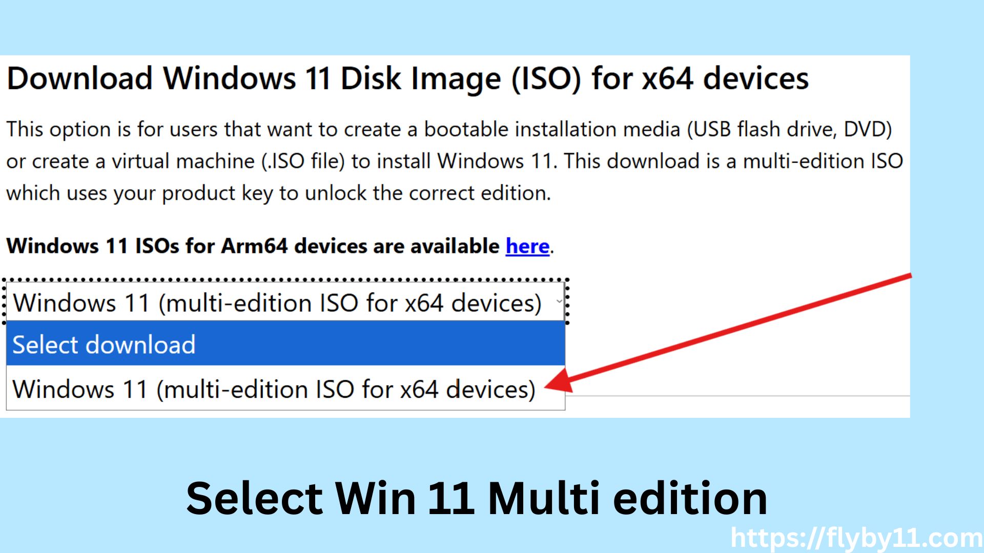 Select Windows 11 edition and download